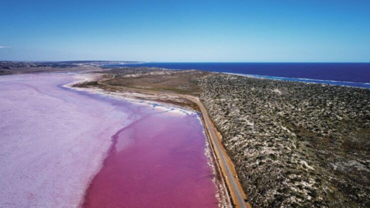 Pink Lake: 1 Hour Buggy Tour - Tour Details