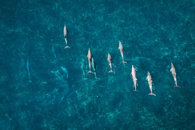 Pink Lake and Abrolhos Flyover Tour - The Sum Up
