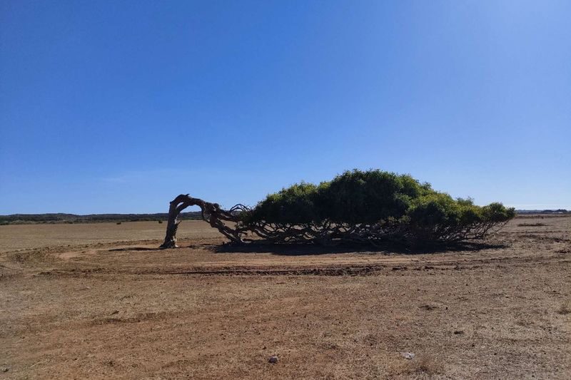 Pink Lake & Kalbarri National Park 3-Day Tour - Seafood and the return south