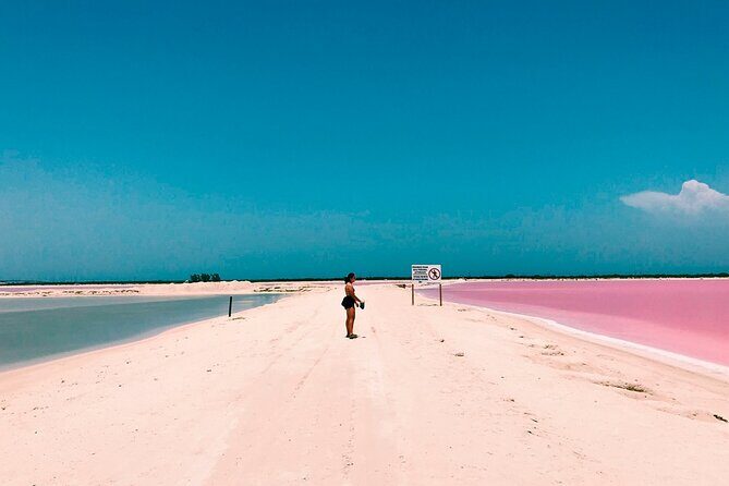 Pink Lake Las Coloradas + Rio Lagartos Reserve! Transportation from Cancun - Good To Know