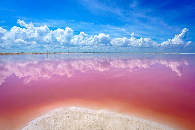 Pink Lake Las Coloradas + Rio Lagartos Reserve! Transportation from Cancun - Itinerary in Detail