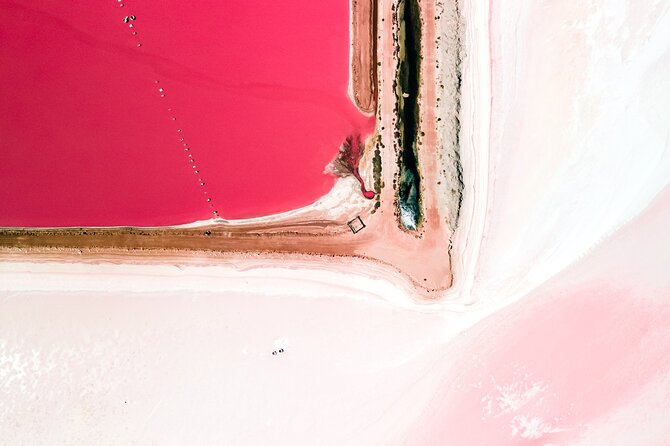 Pink Lake Scenic Flyover Tour - Additional Information and Accessibility