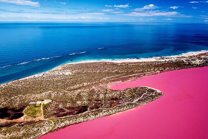 Pink Lake Small-Group Buggy Tour - Tour Highlights
