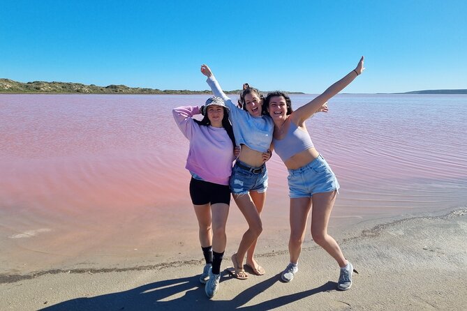 Pink Lake Small-Group Buggy Tour - Transportation and Pickup Details