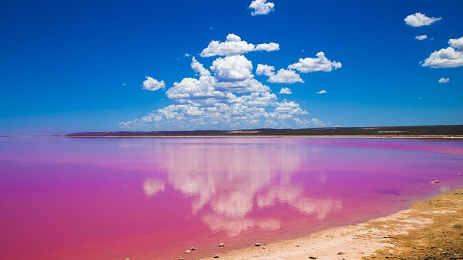 Pink Lake Small-Group Buggy Tour - Accessibility Information