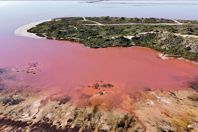 Pink Lake Small-Group Buggy Tour - The Sum Up