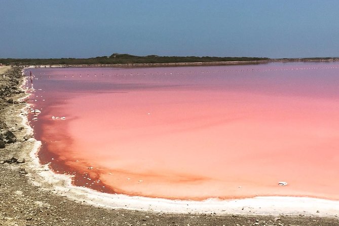 Pink Sea of Galerazamba - Reviews