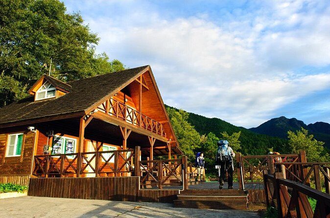 Pink Spring: Wuling Farm Cherry Blossom One-day Tour from Ximen - Authentic Experiences and Hidden Gems