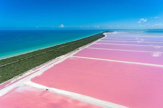 Pink Waters of Las Coloradas, Pink Flamingos and Colonial City of Valladolid, - FAQs