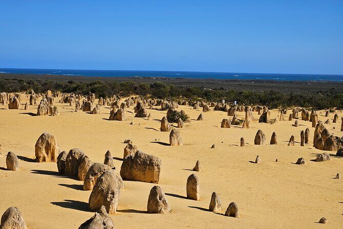 Pinnacle Day Adventure Tour - Exploring the Pinnacles Desert