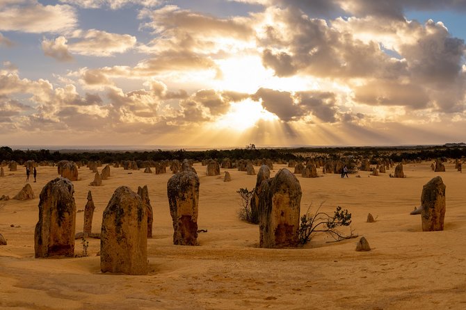 Pinnacle Desert Sunset and Night-Time Stargazing Tour From Perth - Highlights of the Tour