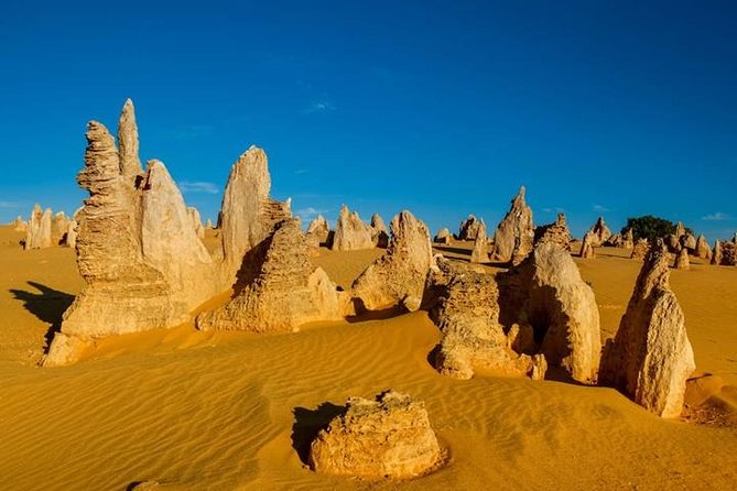 Pinnacle Desert Sunset and Stargazing With Dinner - Common Questions