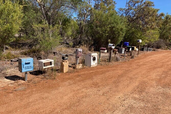 Pinnacles and Swan Valley Day Tour - Who Would Love This Tour?