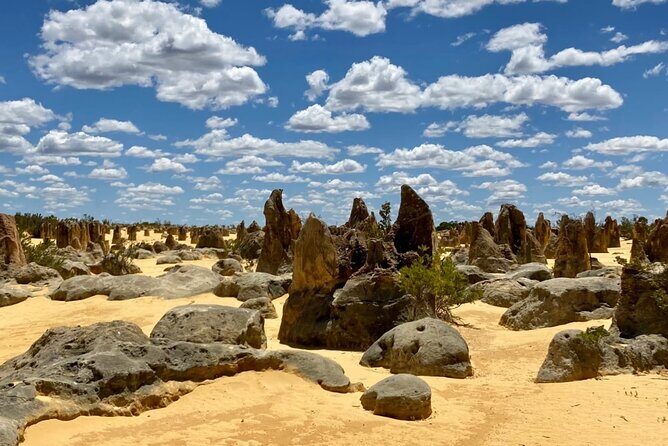 Pinnacles Day Tour - Exploring the Pinnacles Day Tour: A Balanced Look at Western Australia’s Natural Wonders