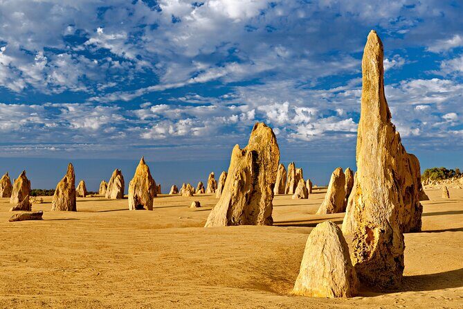 Pinnacles Desert Lobster Tour from Perth - Final Thoughts