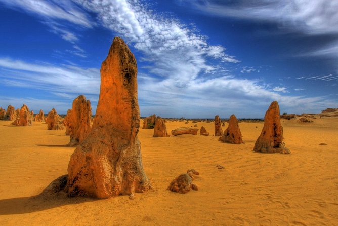 Pinnacles Desert & New Norcia Day Tour From Perth - Tour Highlights