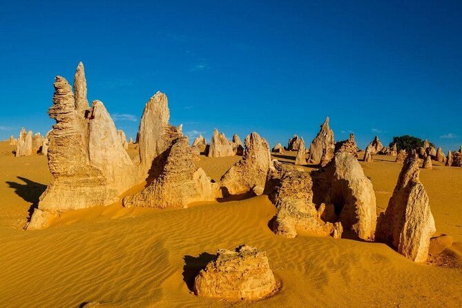 Pinnacles Desert (Private) Day Tour - Tour Overview and Inclusions