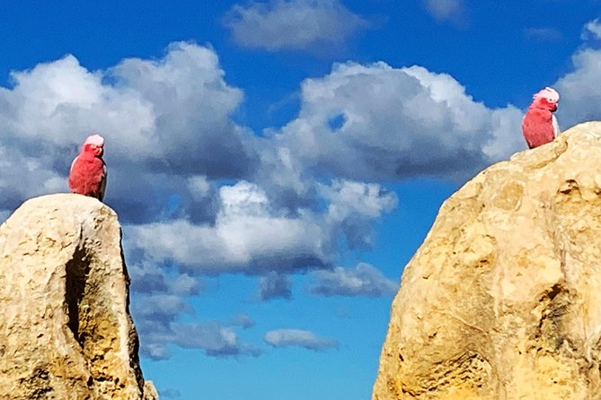 Pinnacles Desert (Private) Day Tour - Directions