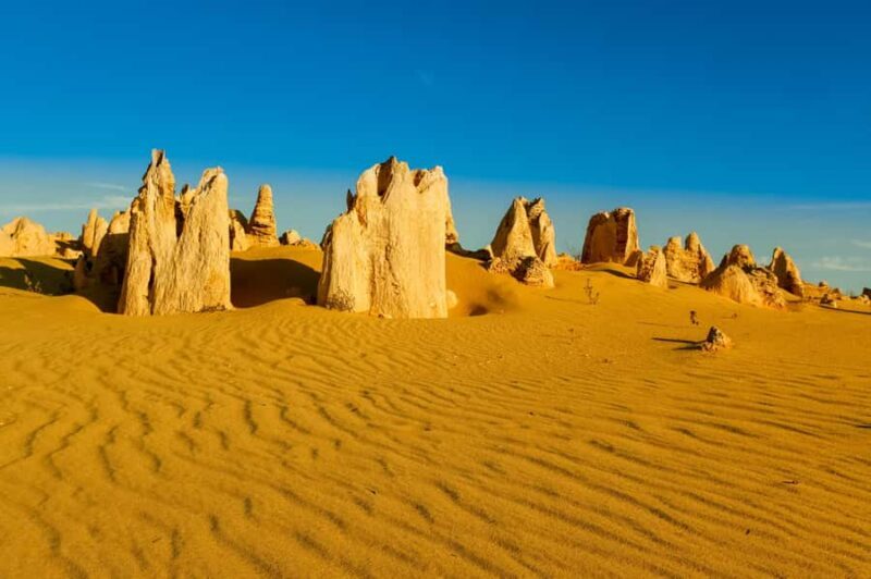 Pinnacles Desert Private Tour - Pinnacles Desert Private Tour: An In-Depth Look at Western Australia’s Natural Wonders
