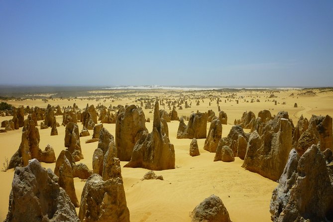 Pinnacles Desert Private Tour - Seafood Lunch Option