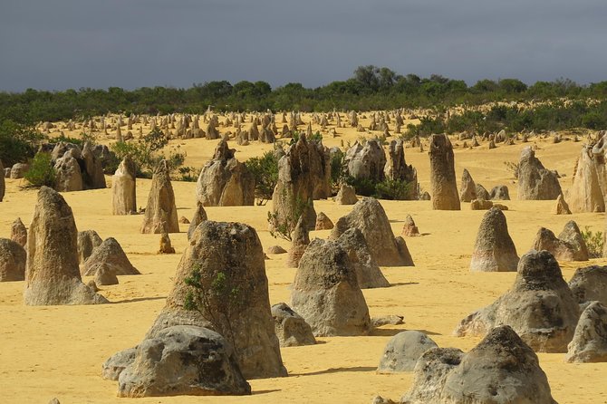 Pinnacles & Rottnest Island Scenic Air & Ground Tour - Directions