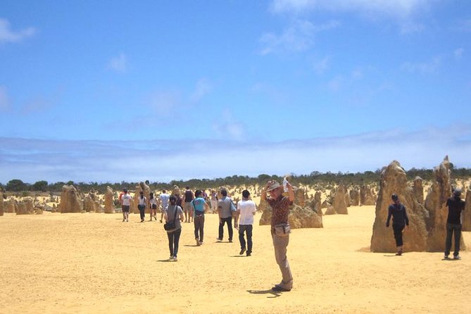 Pinnacles & Rottnest Island Scenic Air & Ground Tour - Common Questions