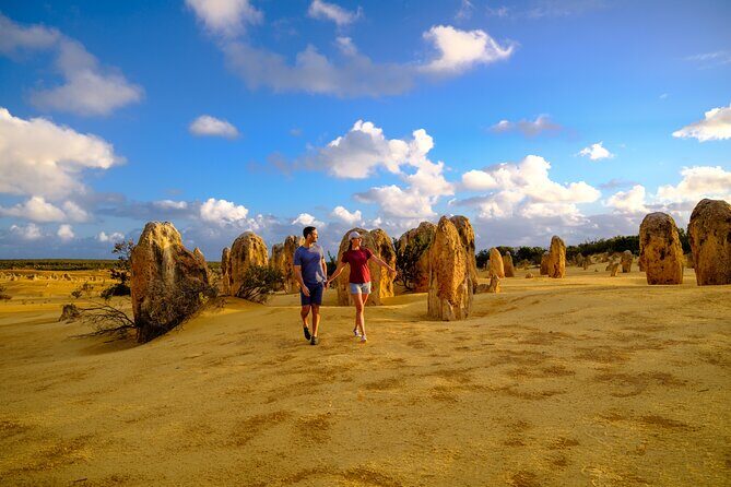 Pinnacles+Lancelin Sand Dune Impression Day Tour from Perth - The Sum Up