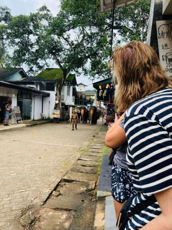 Pinnawala Day Tour from Kandy (Private tour ) - Who Will Love This Tour?