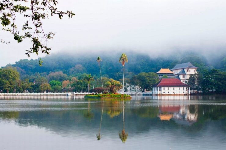Pinnawala & Kandy Day Tour From Negombo - Temple of Tooth