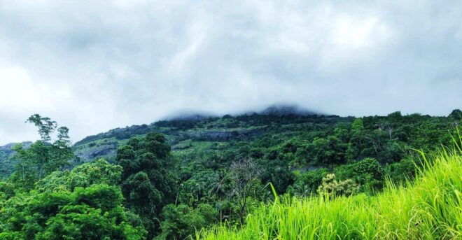 Pinnawala Rambukkana: Hidden Gem Tour - Booking Your Adventure