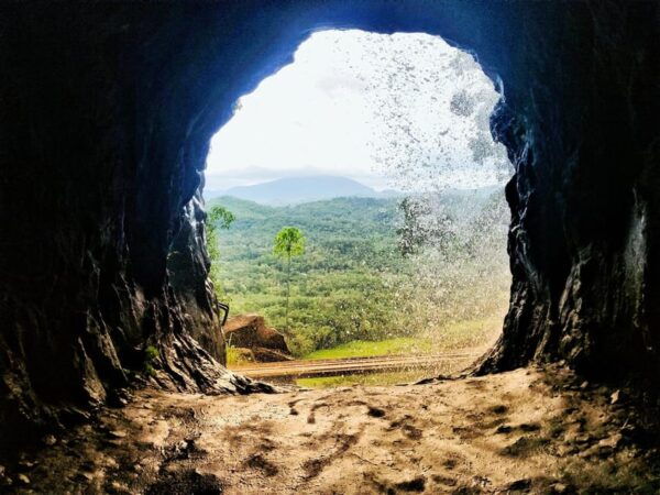 Pinnawala Rambukkana: Hidden Gem Tour - Exploring Pinnawalas Nature