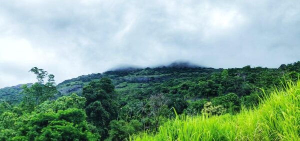 Pinnawala Rambukkana: Hidden Gem Tour - Tips for a Memorable Visit