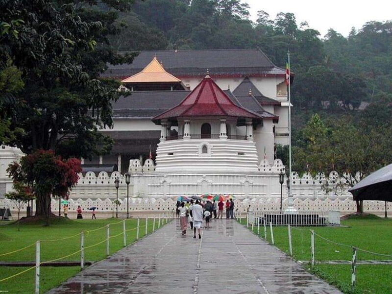 Pinnawala,Kandy Day Tour from Colombo/Negombo - Pinnawala Elephant Orphanage Visit