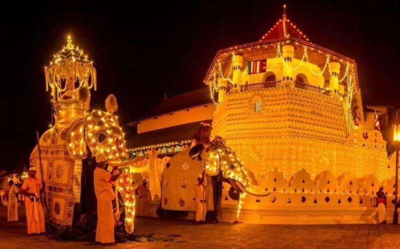 Pinnawala,Kandy Day Tour from Colombo/Negombo - Gem Factory Visit