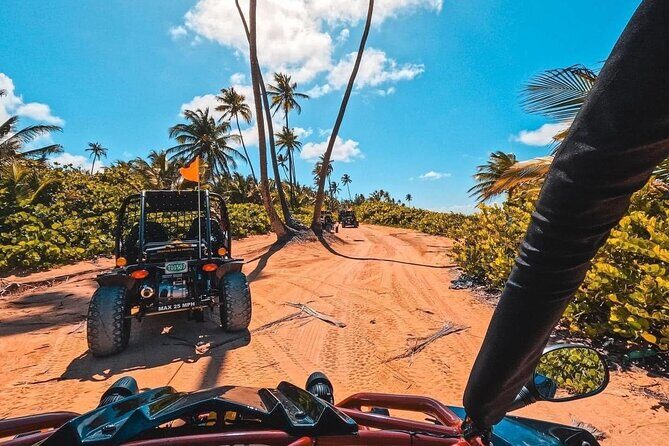 Piñones Beach Buggy + El Yunque Waterfall Adventure - Good To Know