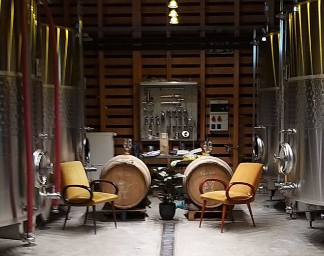 Pinot Noir in Baden-Württemberg. - Top Pinot Noir Producers in the Region