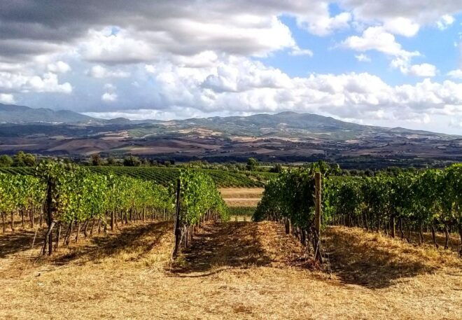 Pinot Noir in Baden-Württemberg. - Common Questions