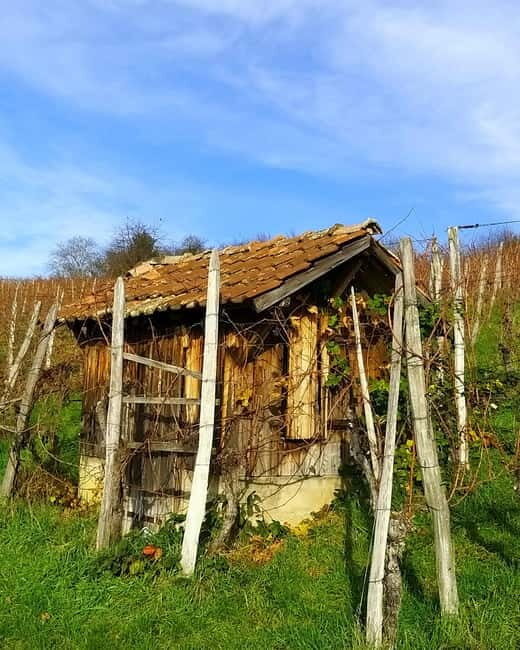 Pinot Noir & Pinot Wine Tour to Baden-Württemberg - Why This Tour Offers Value