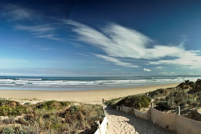 Pipi Catching and Cooking Experience in Goolwa - Beachside Cooking and Tasting