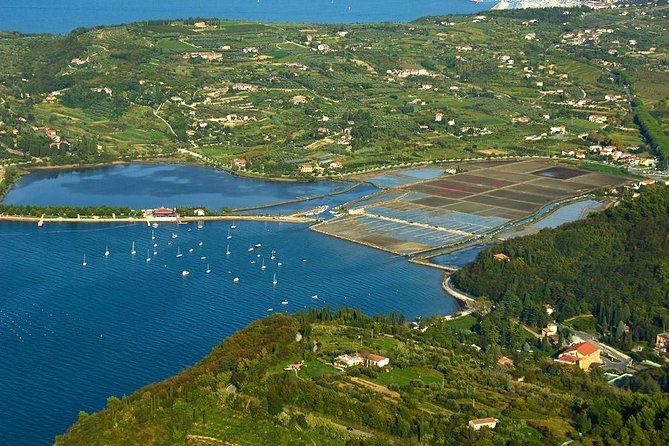 Piran and Scenic Slovenian Coast- Private Experience From Koper - Accessible Tour Options