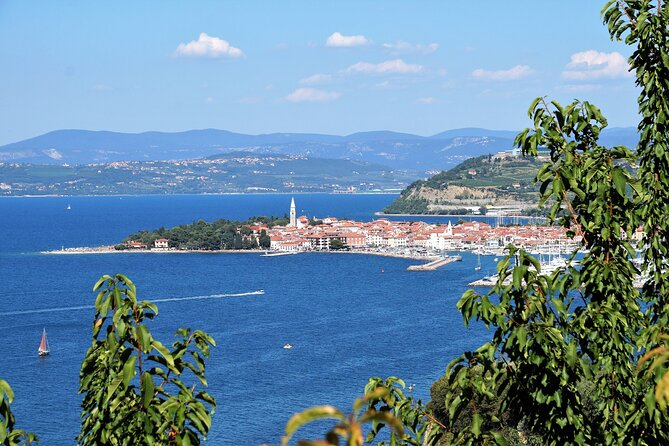 Piran & Panoramic Slovenian Coast - Small Group Tour From Koper - Customer Reviews