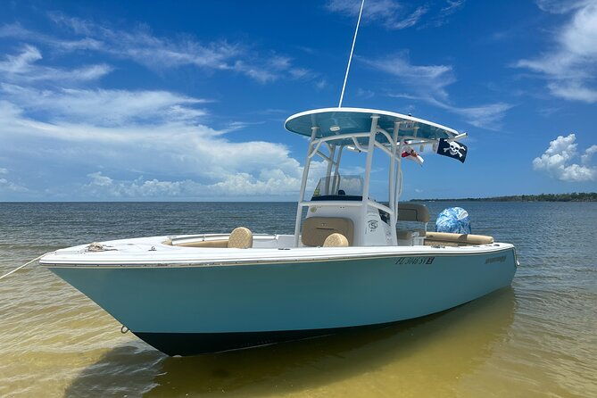 Pirate Adventure in Florida - Who Should Consider This Tour?