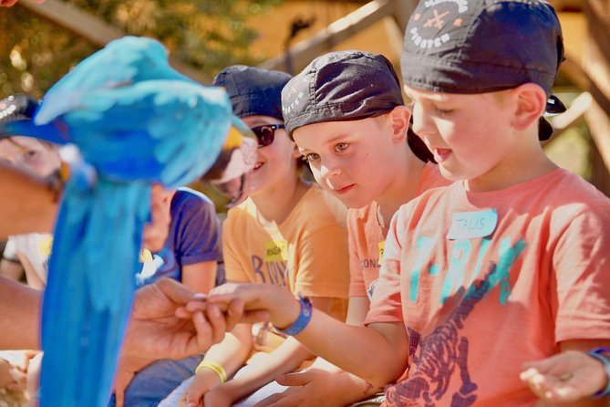 Pirate Tour Mallorca - Traveler Photos and Reviews