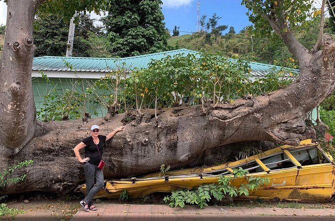 Pirates of the Caribbean Fun Tour - Final Thoughts