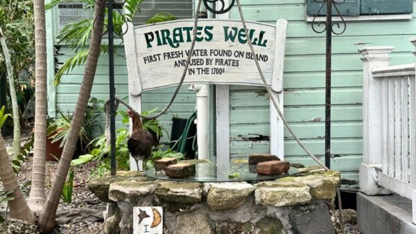 Pirates & Treasure: Self Guided Tour of Key Wests Old Town - Frequently Asked Questions