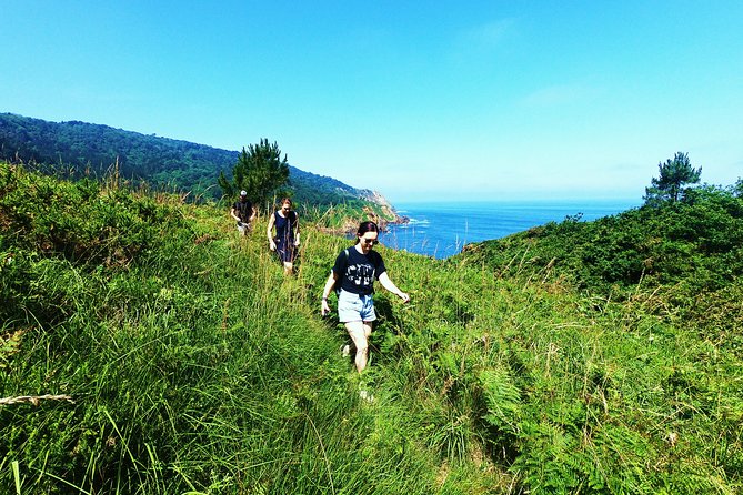 Pirates, Whales and Shipyard Hiking - Exploring Shipyard Trails