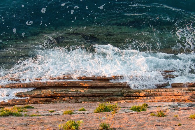Pirates, Whales and Shipyard Hiking - Booking and Pricing Information