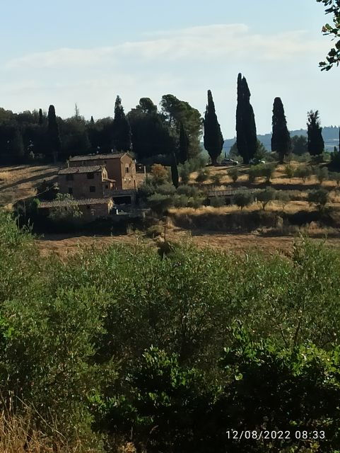 Pisa and Florence Private Shore Excursions from Livorno - The Cost and What You’re Getting