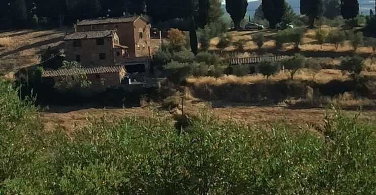 Pisa and Florence Private Shore Excursions From Livorno - Itinerary Highlights