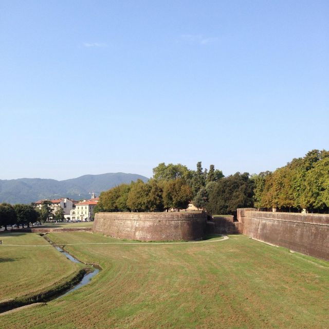 Pisa & Lucca With Wine Tasting and Lunch From Livorno - Tour Details